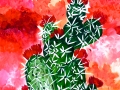 Bloomin Cactus