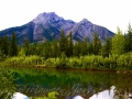 Lorette Ponds