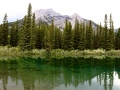 Lorette Ponds
