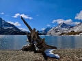 Waterton National Park