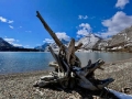 Waterton National  Park
